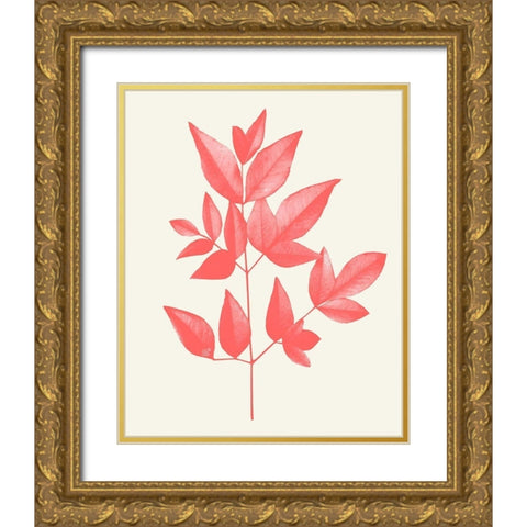Coral Leaves 2 Gold Ornate Wood Framed Art Print with Double Matting by Kimberly, Allen