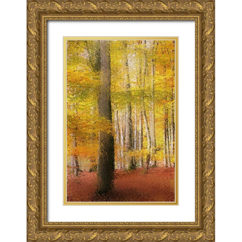 Golden Days Gold Ornate Wood Framed Art Print with Double Matting by Kimberly, Allen