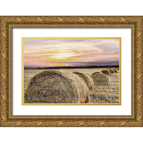 Farmers Harvest Gold Ornate Wood Framed Art Print with Double Matting by Kimberly, Allen