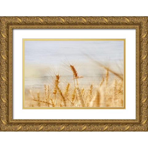The Harvest Gold Ornate Wood Framed Art Print with Double Matting by Kimberly, Allen
