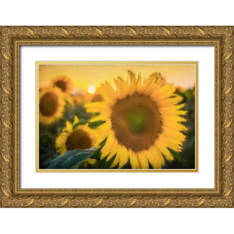 Morning Gold Gold Ornate Wood Framed Art Print with Double Matting by Kimberly, Allen