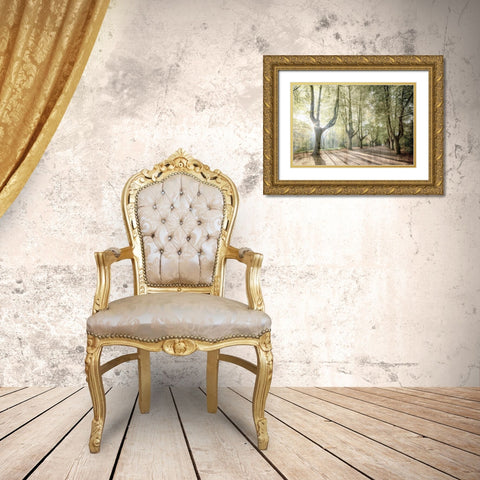 Sunlight Streams Gold Ornate Wood Framed Art Print with Double Matting by Kimberly, Allen