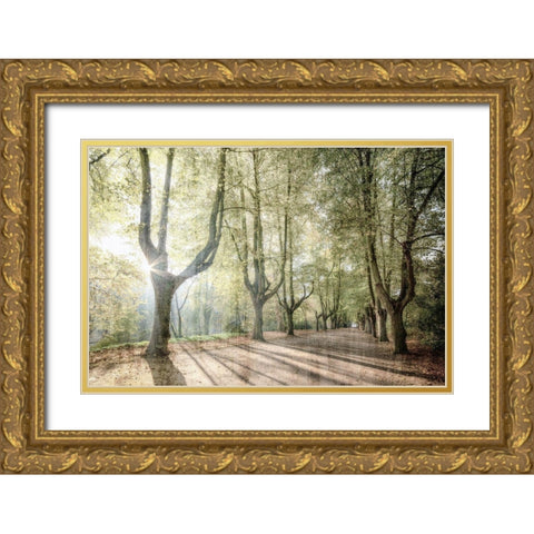 Sunlight Streams Gold Ornate Wood Framed Art Print with Double Matting by Kimberly, Allen