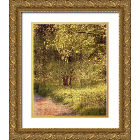 Sunlit Path 2 Gold Ornate Wood Framed Art Print with Double Matting by Kimberly, Allen