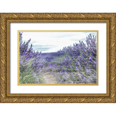 Lavender Field Gold Ornate Wood Framed Art Print with Double Matting by Allen, Kimberly
