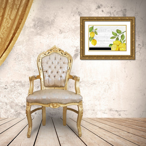 Fresh Lemons 7 Gold Ornate Wood Framed Art Print with Double Matting by Kimberly, Allen