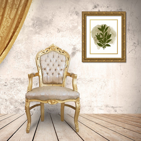 Botanical Branch 1 Gold Ornate Wood Framed Art Print with Double Matting by Kimberly, Allen