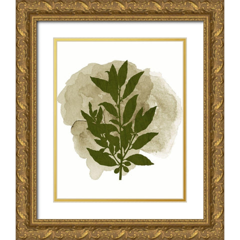 Botanical Branch 1 Gold Ornate Wood Framed Art Print with Double Matting by Kimberly, Allen