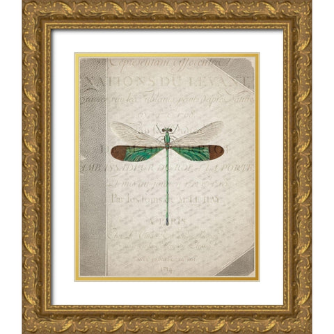 Dragonfly Book 2 Gold Ornate Wood Framed Art Print with Double Matting by Allen, Kimberly