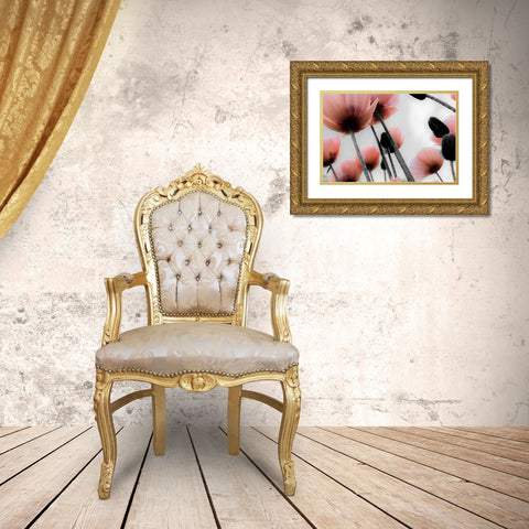 Pink Poppies Gold Ornate Wood Framed Art Print with Double Matting by Allen, Kimberly