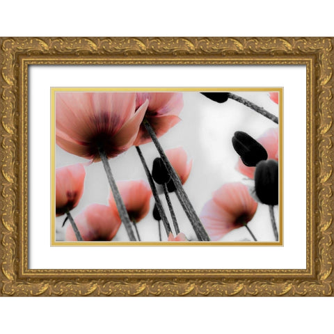Pink Poppies Gold Ornate Wood Framed Art Print with Double Matting by Allen, Kimberly