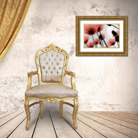Red Poppies Gold Ornate Wood Framed Art Print with Double Matting by Allen, Kimberly