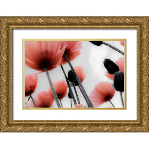 Red Poppies Gold Ornate Wood Framed Art Print with Double Matting by Allen, Kimberly