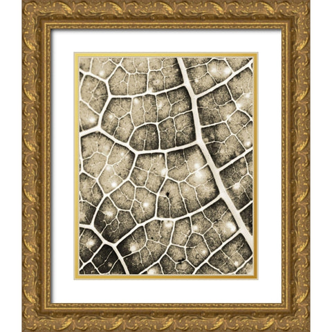 Eco Gold 2 Gold Ornate Wood Framed Art Print with Double Matting by Allen, Kimberly