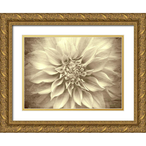 Amethyst Gold Ornate Wood Framed Art Print with Double Matting by Allen, Kimberly