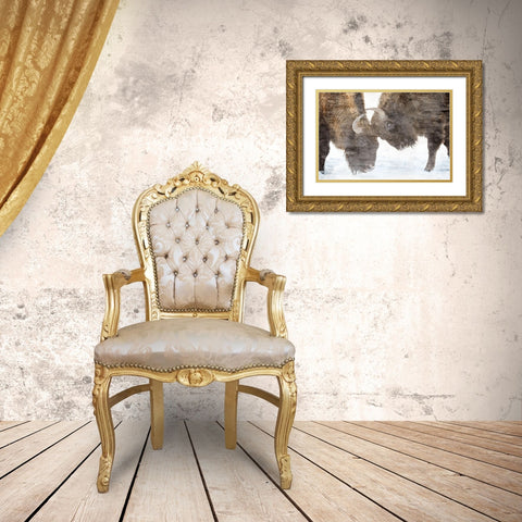 Bison Two Gold Ornate Wood Framed Art Print with Double Matting by Allen, Kimberly