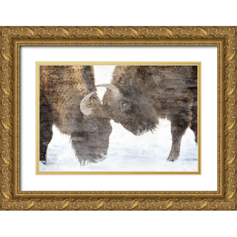 Bison Two Gold Ornate Wood Framed Art Print with Double Matting by Allen, Kimberly