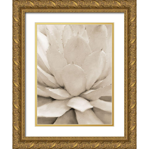 Agave Neutral 1 Gold Ornate Wood Framed Art Print with Double Matting by Allen, Kimberly