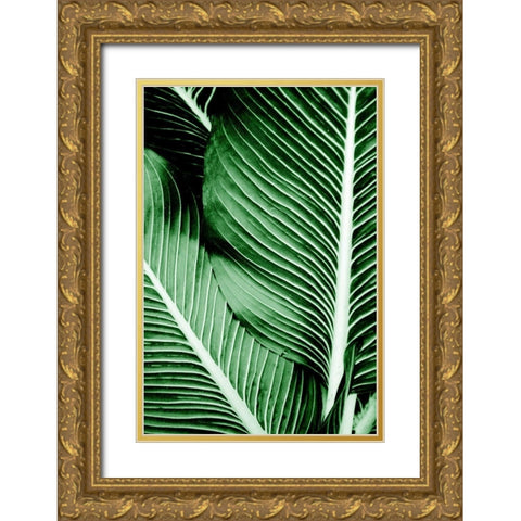 Tropical 1 Gold Ornate Wood Framed Art Print with Double Matting by Allen, Kimberly