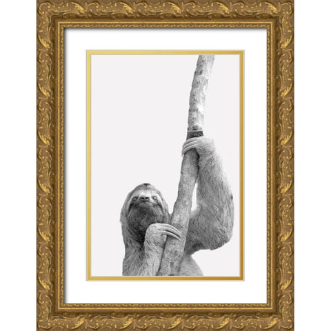 Quirky Sloths 2 Gold Ornate Wood Framed Art Print with Double Matting by Allen, Kimberly