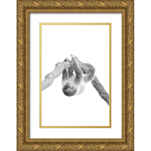 Baby Sloth 2 Gold Ornate Wood Framed Art Print with Double Matting by Allen, Kimberly