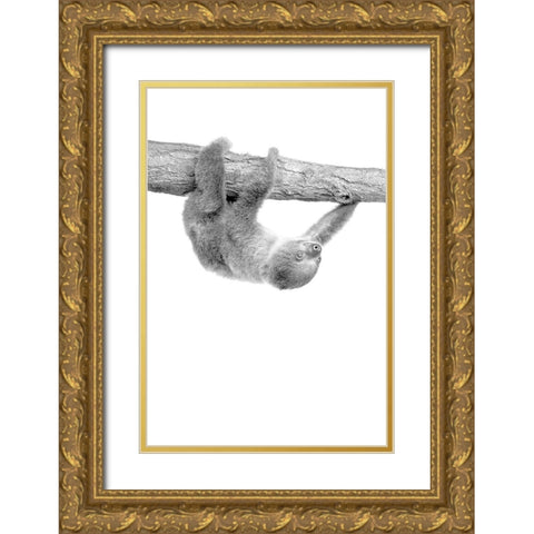 Baby Sloth 3 Gold Ornate Wood Framed Art Print with Double Matting by Allen, Kimberly