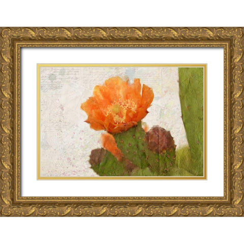Cacti Flower Gold Ornate Wood Framed Art Print with Double Matting by Allen, Kimberly