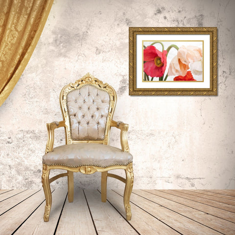 Poppies Gold Ornate Wood Framed Art Print with Double Matting by Allen, Kimberly