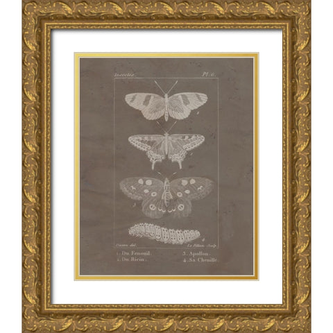 Vintage Insect 1 Gold Ornate Wood Framed Art Print with Double Matting by Allen, Kimberly