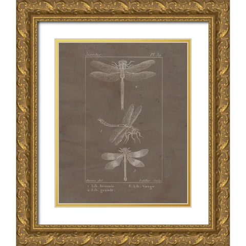 Vintage Insect 3 Gold Ornate Wood Framed Art Print with Double Matting by Allen, Kimberly