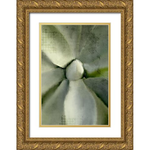Agave Center Gold Ornate Wood Framed Art Print with Double Matting by Allen, Kimberly