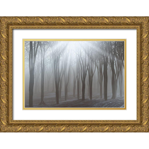 Sunlight Gold Ornate Wood Framed Art Print with Double Matting by Allen, Kimberly