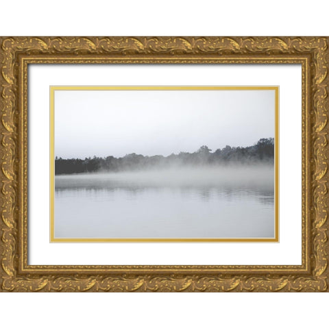 Lake Mist Gold Ornate Wood Framed Art Print with Double Matting by Allen, Kimberly