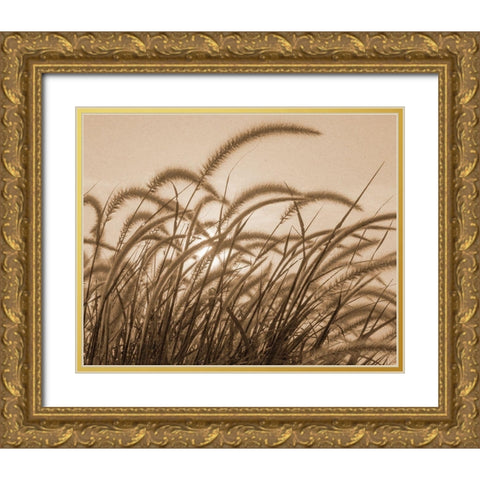 Reeds Gold Ornate Wood Framed Art Print with Double Matting by Allen, Kimberly