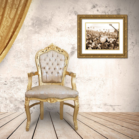 Cotton Fields Gold Ornate Wood Framed Art Print with Double Matting by Allen, Kimberly