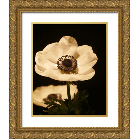 Floral Closeup 1 Gold Ornate Wood Framed Art Print with Double Matting by Allen, Kimberly