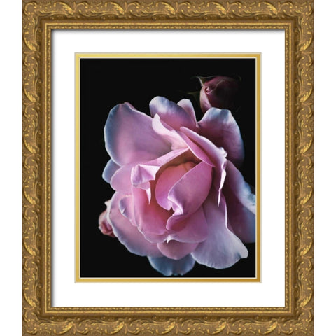 Floral Closeup 2 Gold Ornate Wood Framed Art Print with Double Matting by Allen, Kimberly