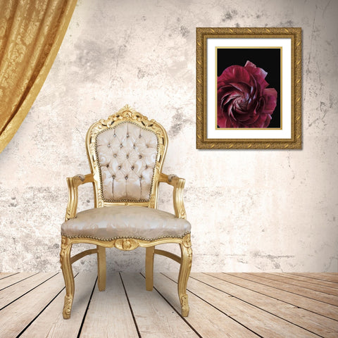 Floral Closeup 3 Gold Ornate Wood Framed Art Print with Double Matting by Allen, Kimberly