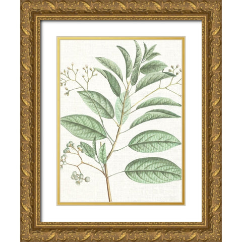 Branch 1 Gold Ornate Wood Framed Art Print with Double Matting by Allen, Kimberly