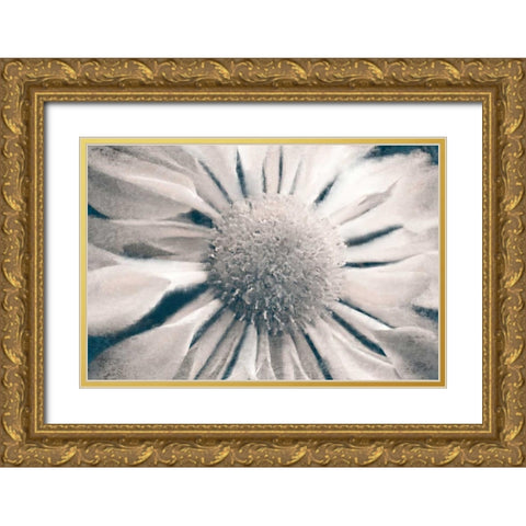 Marguerite Gold Ornate Wood Framed Art Print with Double Matting by Allen, Kimberly