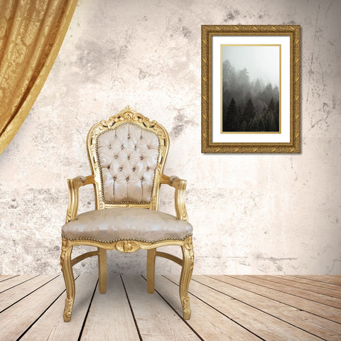 Mist 1 Gold Ornate Wood Framed Art Print with Double Matting by Allen, Kimberly