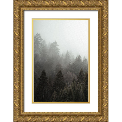 Mist 1 Gold Ornate Wood Framed Art Print with Double Matting by Allen, Kimberly