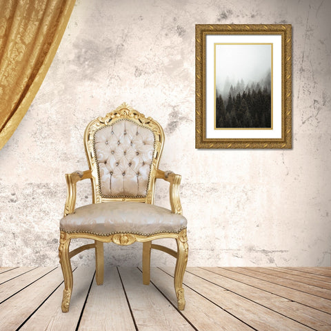 Mist 2 Gold Ornate Wood Framed Art Print with Double Matting by Allen, Kimberly