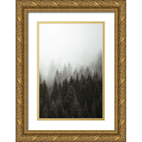 Mist 2 Gold Ornate Wood Framed Art Print with Double Matting by Allen, Kimberly