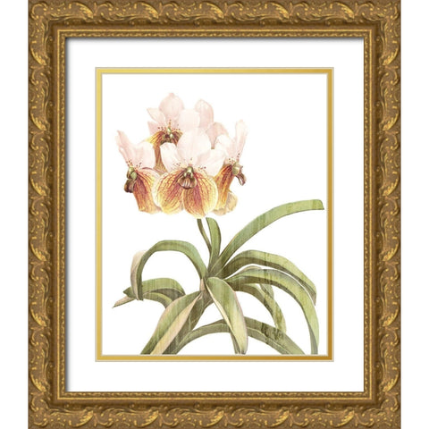 Orchid Love 3 Gold Ornate Wood Framed Art Print with Double Matting by Kimberly, Allen