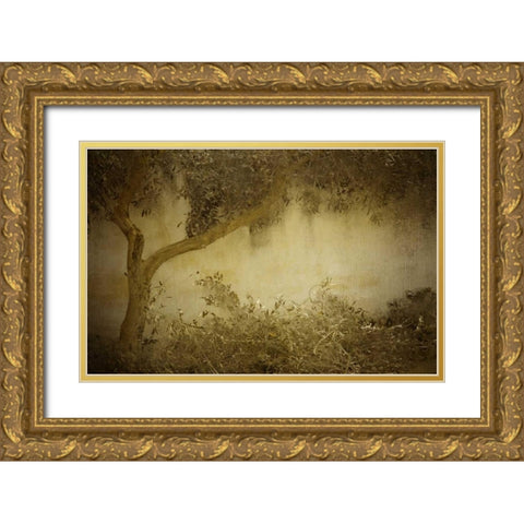 Olive Tree Gold Ornate Wood Framed Art Print with Double Matting by Allen, Kimberly