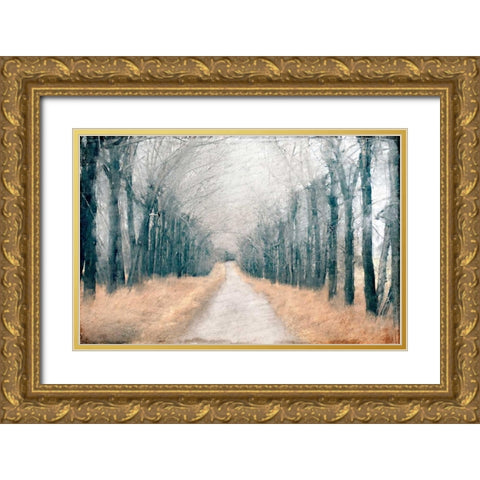 Pathway in the Mist Gold Ornate Wood Framed Art Print with Double Matting by Allen, Kimberly