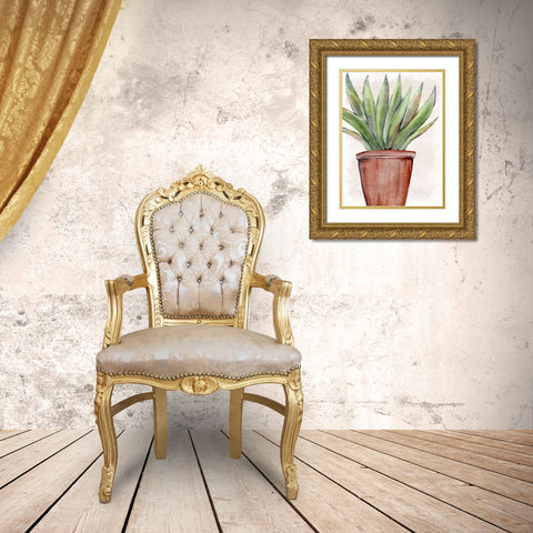 Succulent Plant 1 Gold Ornate Wood Framed Art Print with Double Matting by Allen, Kimberly