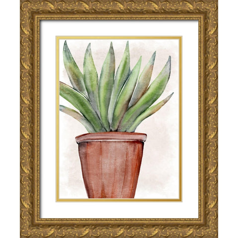 Succulent Plant 1 Gold Ornate Wood Framed Art Print with Double Matting by Allen, Kimberly