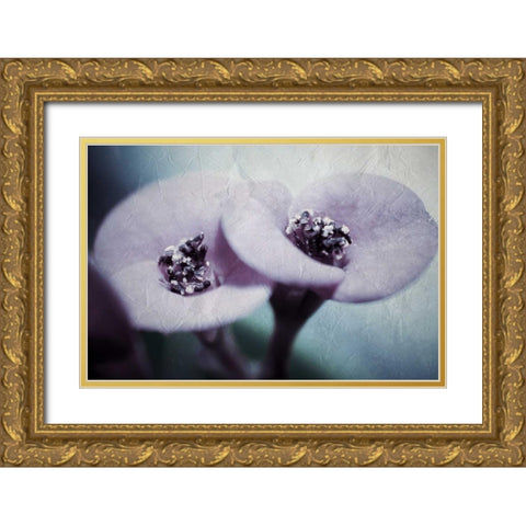 My View Gold Ornate Wood Framed Art Print with Double Matting by Allen, Kimberly